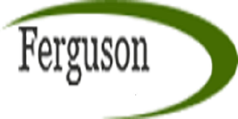 Ferguson Consultants